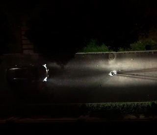 雅居乐同理心——喂猫老人篇